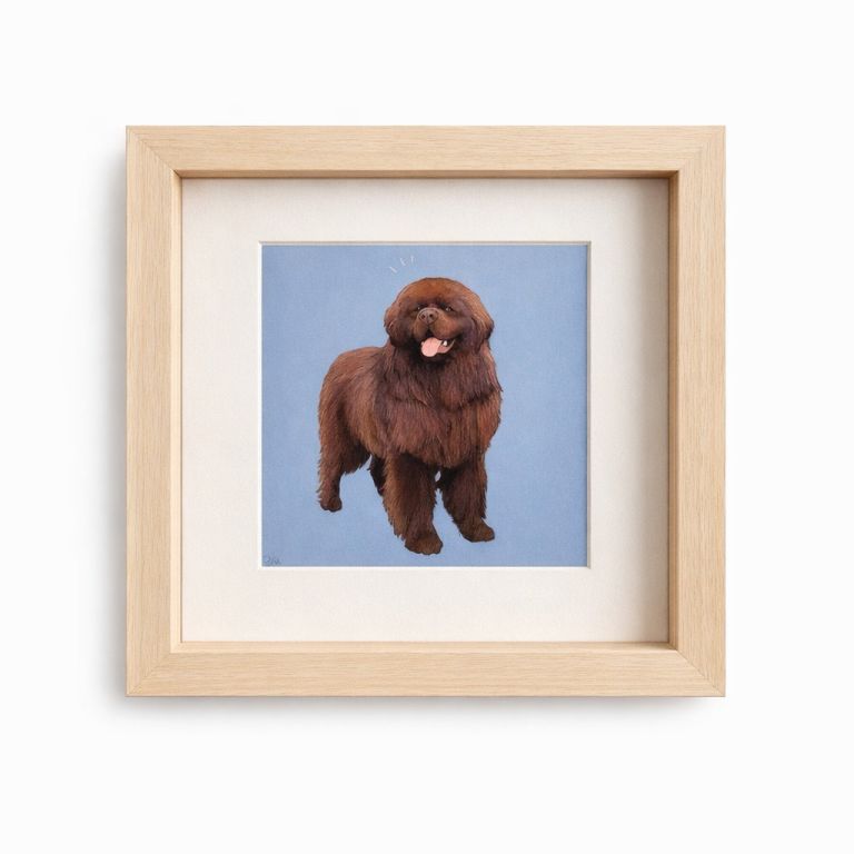  - Kauffmann Lou - illustrateurs/rices