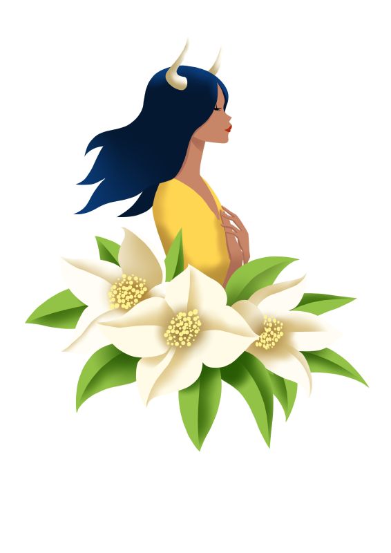  - Alarcon Franckie - illustrateurs/rices