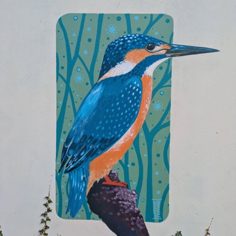  - Jehanne Weyman - illustrateurs/rices