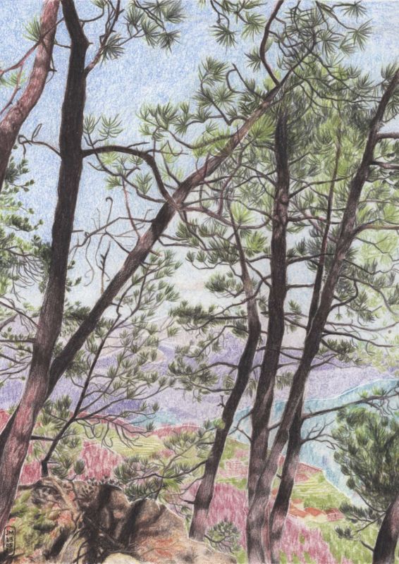  - juliette marmonier - illustrateurs/rices