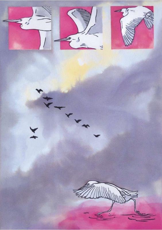  - juliette marmonier - illustrateurs/rices