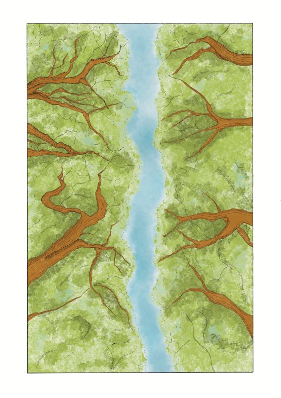  - Laura Hiomi - illustrateurs/rices