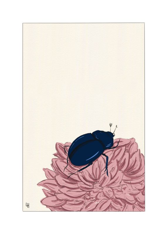  - Laura Hiomi - illustrateurs/rices