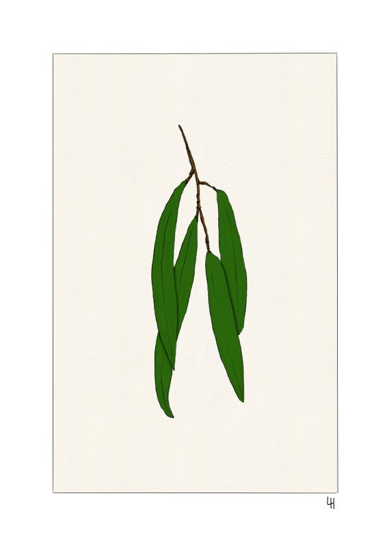  - Laura Hiomi - illustrateurs/rices