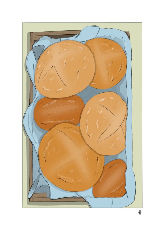  - Laura Hiomi - illustrateurs/rices