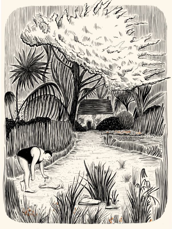  - Tataninig - illustrateurs/rices