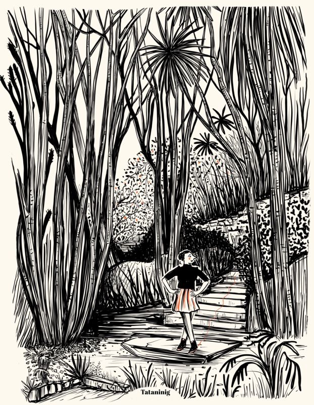  - Tataninig - illustrateurs/rices