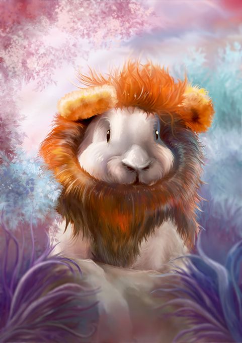  - diane camps - illustrateurs/rices