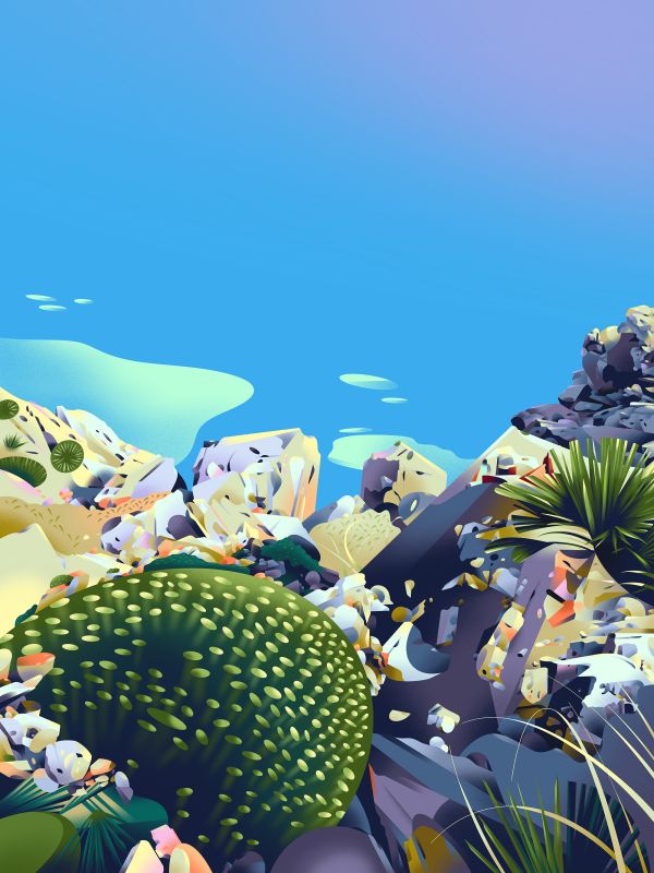 illustration Côte Turquoise aux Rochers Vifs et Algues (38 caractères)