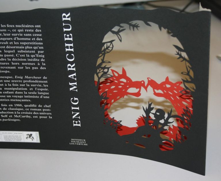 Jaquette de Enig marcheur - marie michel - illustrateurs/rices