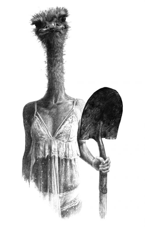 Thérianthrope08.jpg - bénédicte waryn - illustrateurs/rices