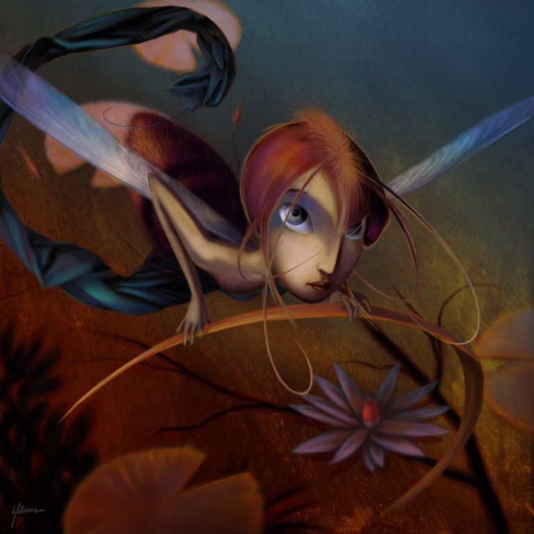 Recherche personnelle - yann hamonic - illustrateurs/rices